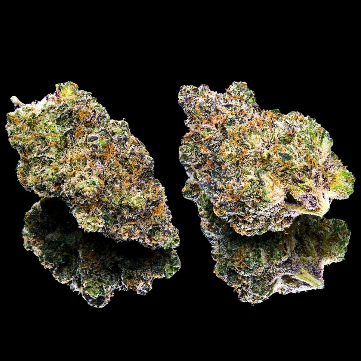 Key Lime Jack 3.5g - Maven Genetics -  - $39.61 - Flowers