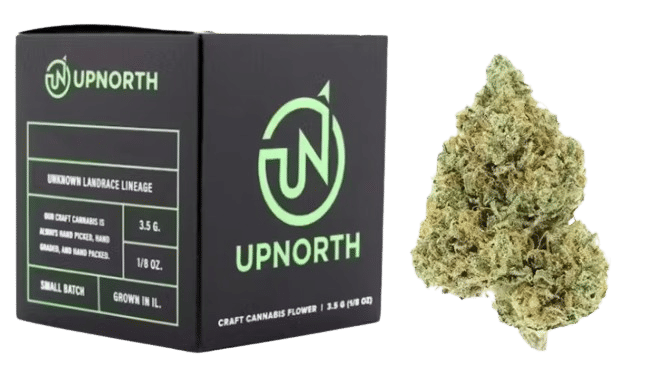 Lamb's Bread - Jar - Indoor Flower - UpNorth - Eighth - $49.99 - Flower