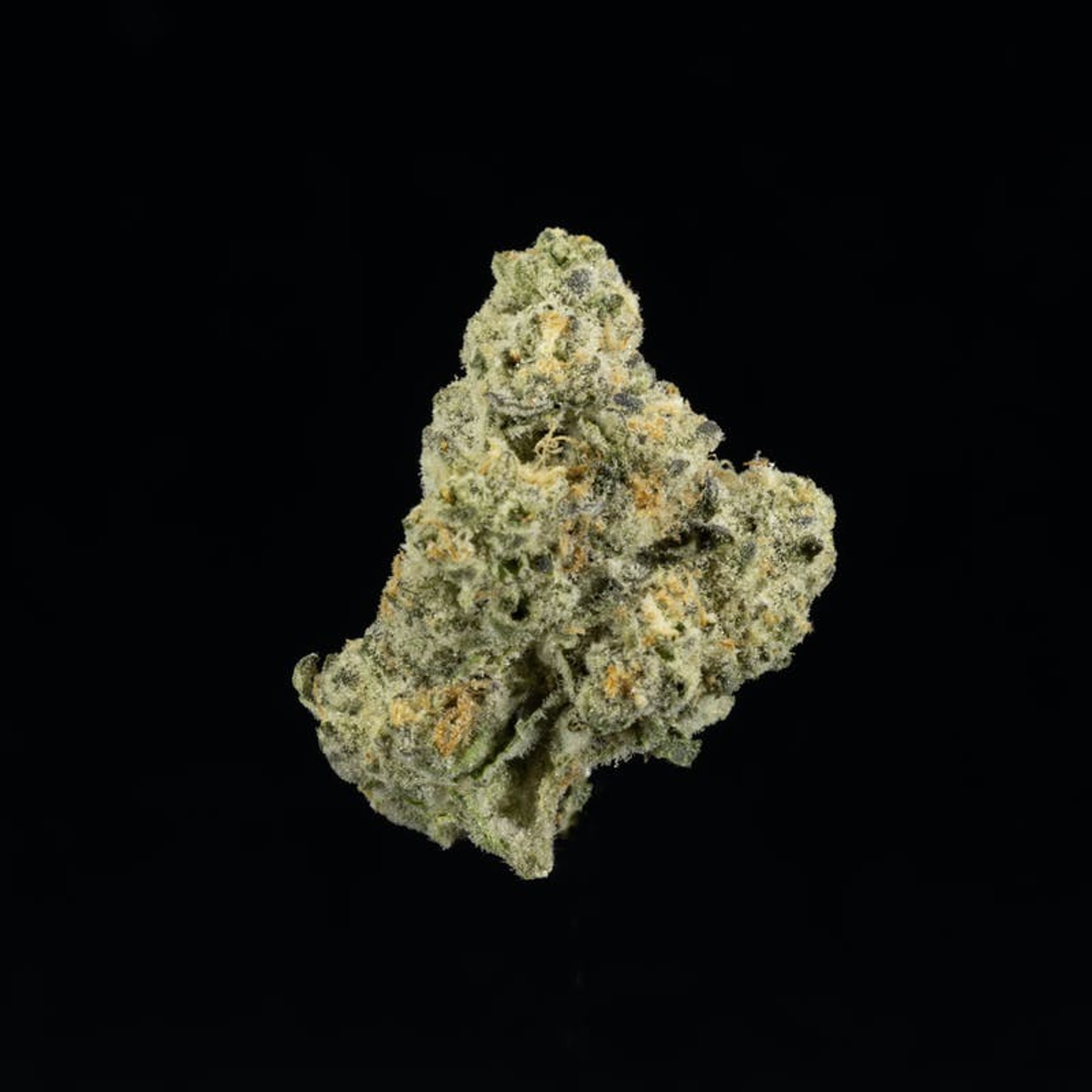 Blueberry Pancakes - 3.5g - UpNorth - - $50 - Flower
