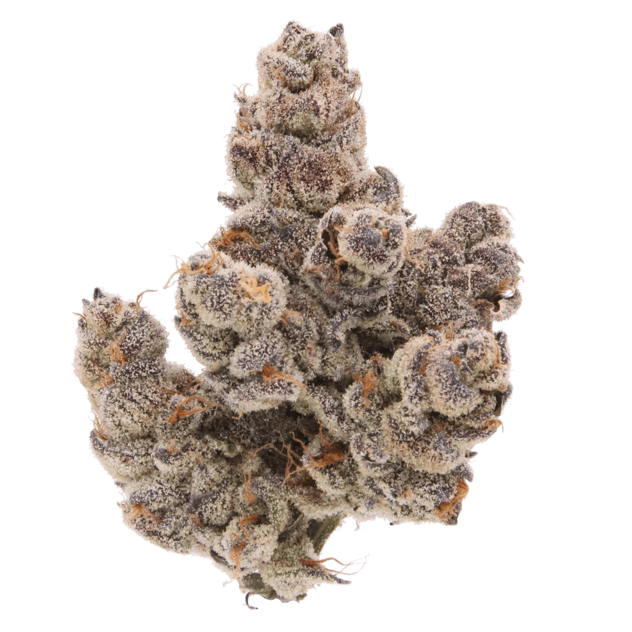 Piescream - Jar - Indoor Flower - Sense - Eighth - $49.99 - Flower