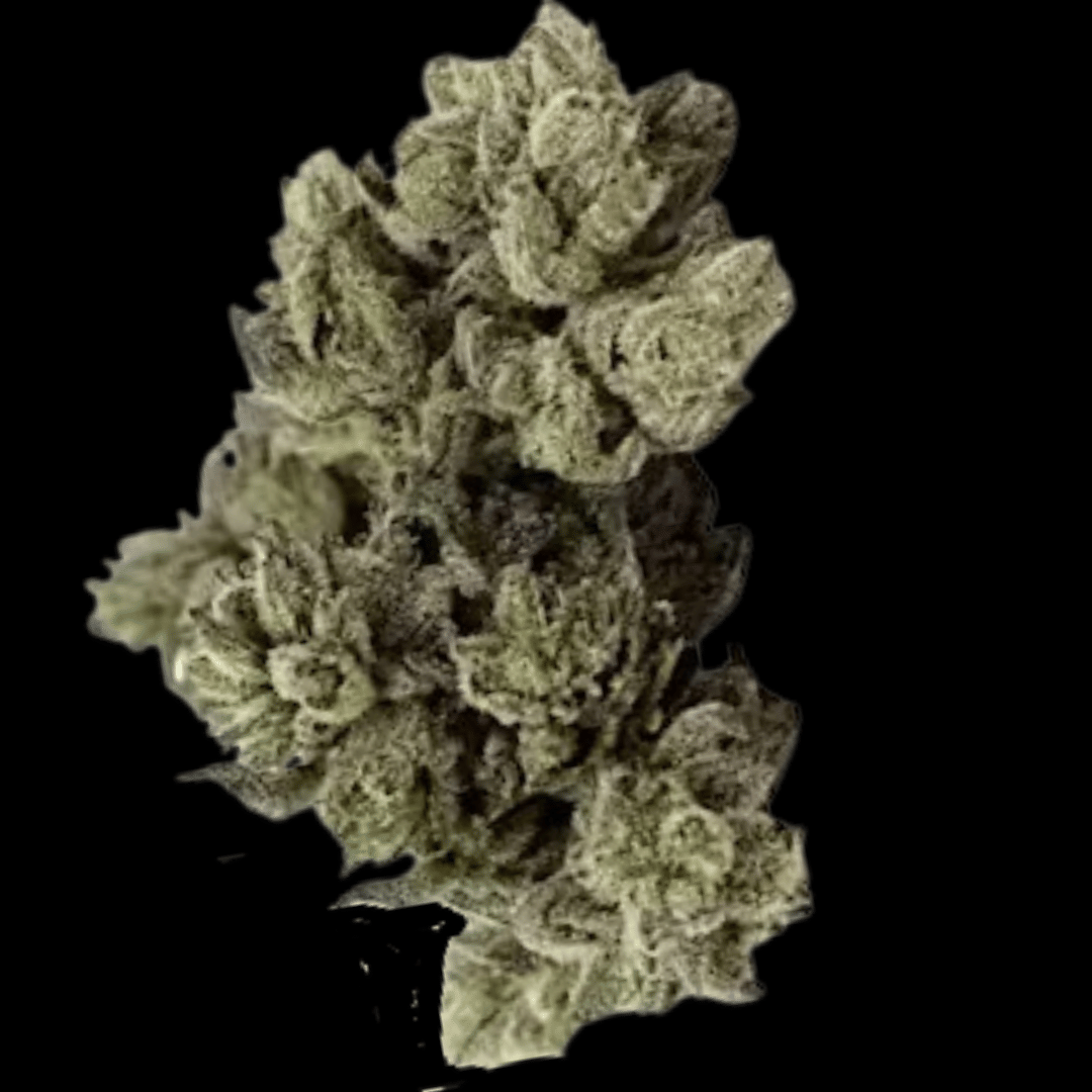 Kush Company — Sour Power
