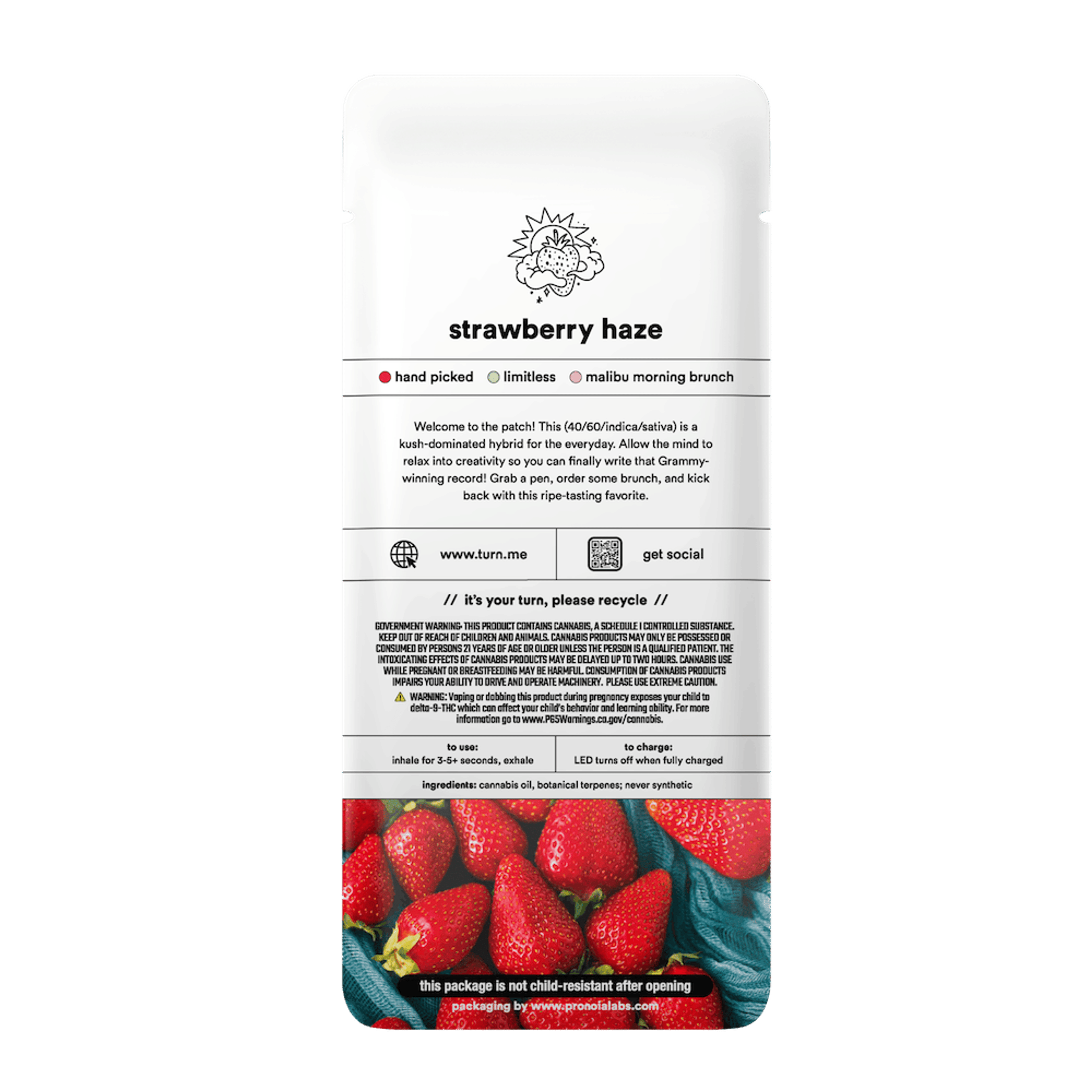 Strawberry Haze Botanica Blends Disposable 1g - turn - - $32.50 - Disposable Vapes