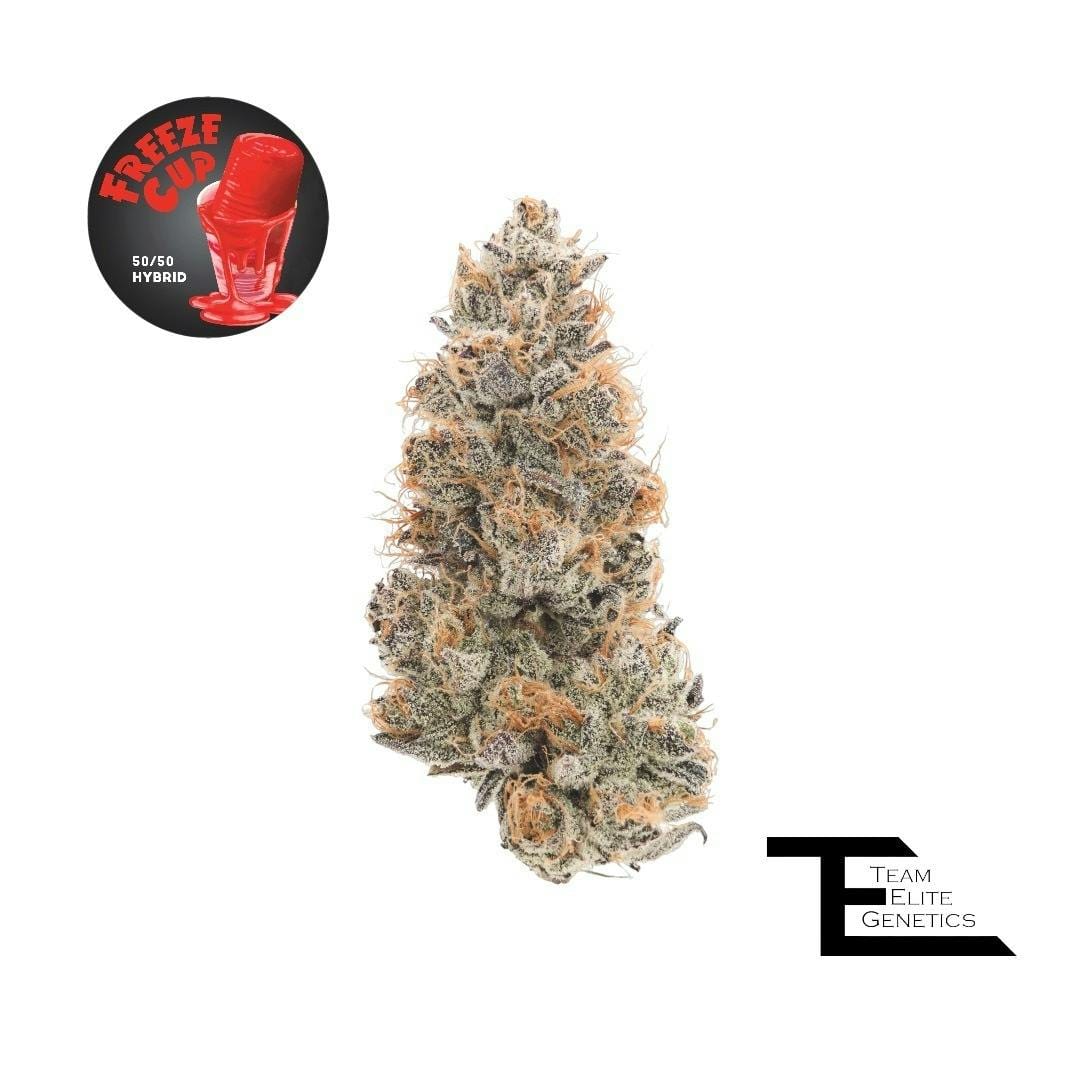 Team Elite Genetics — 1/2 Oz