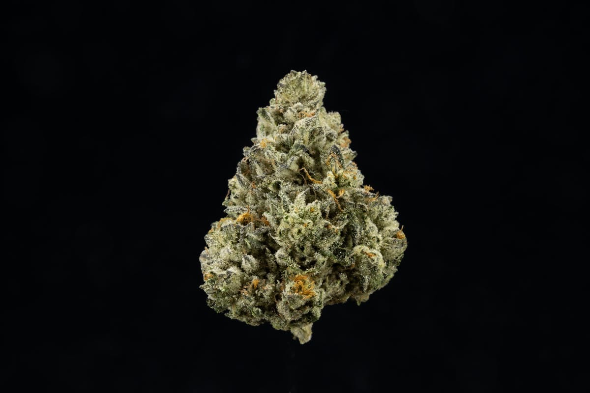 UpNorth: Hindu Kush
