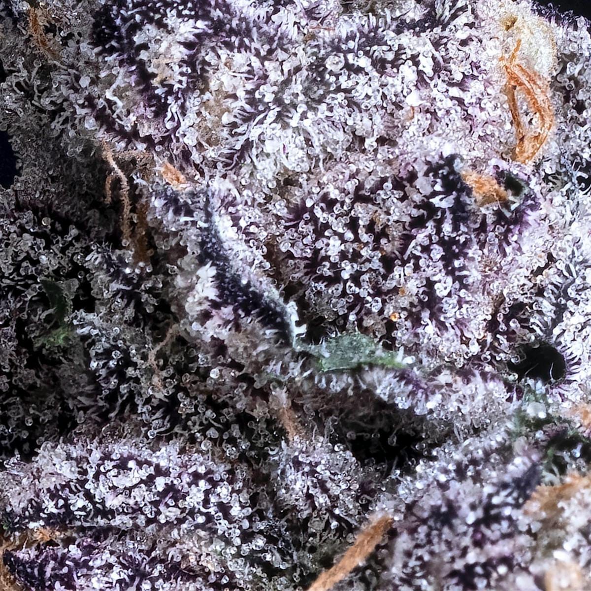 Prizm Gold Blend Cartridge [1g] - Maven Genetics -  - $18 - Vapes