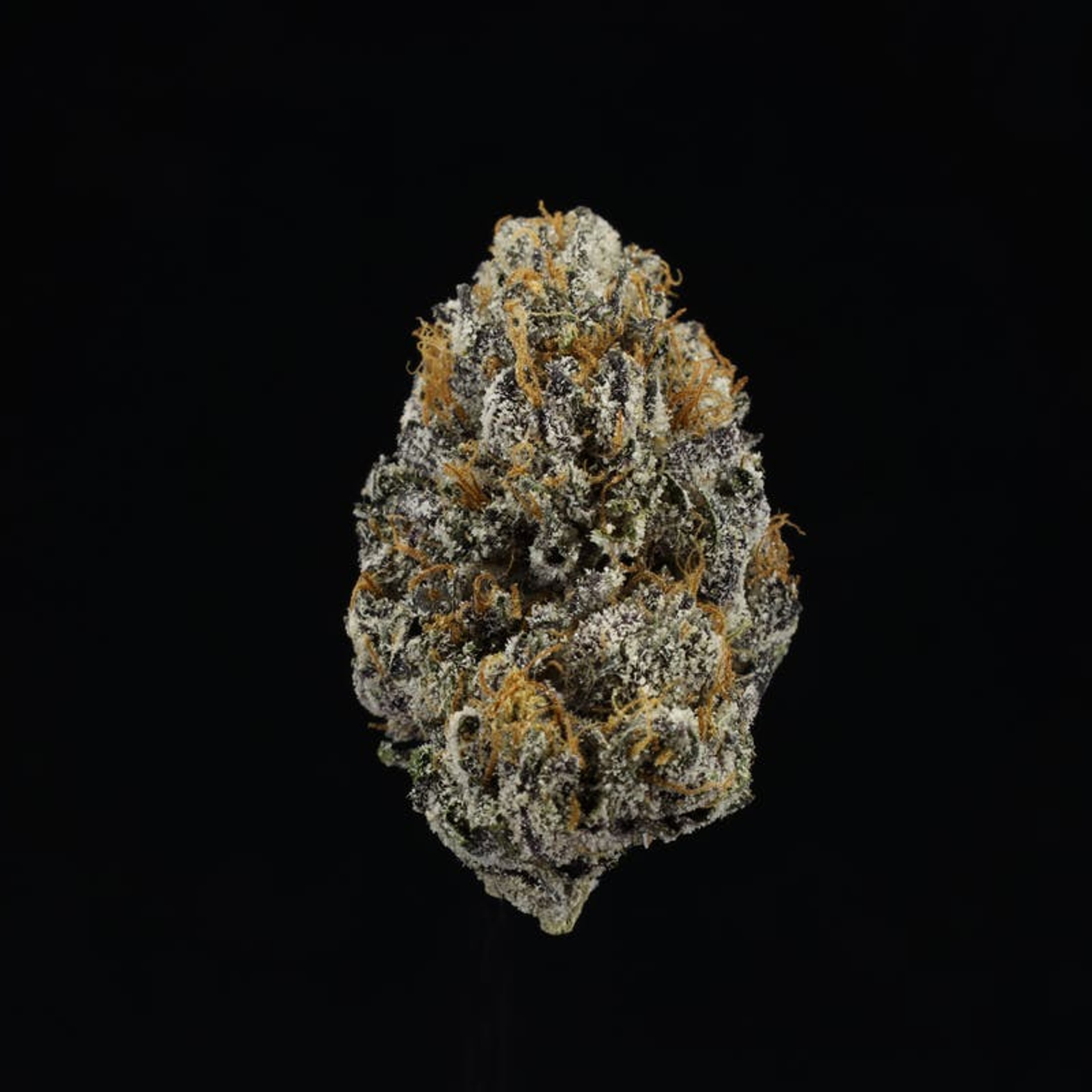 Strawberry Runtz - Jar - Indoor Flower - UpNorth - Eighth - $44.99 - 4mo+ Flower (Date in Description)