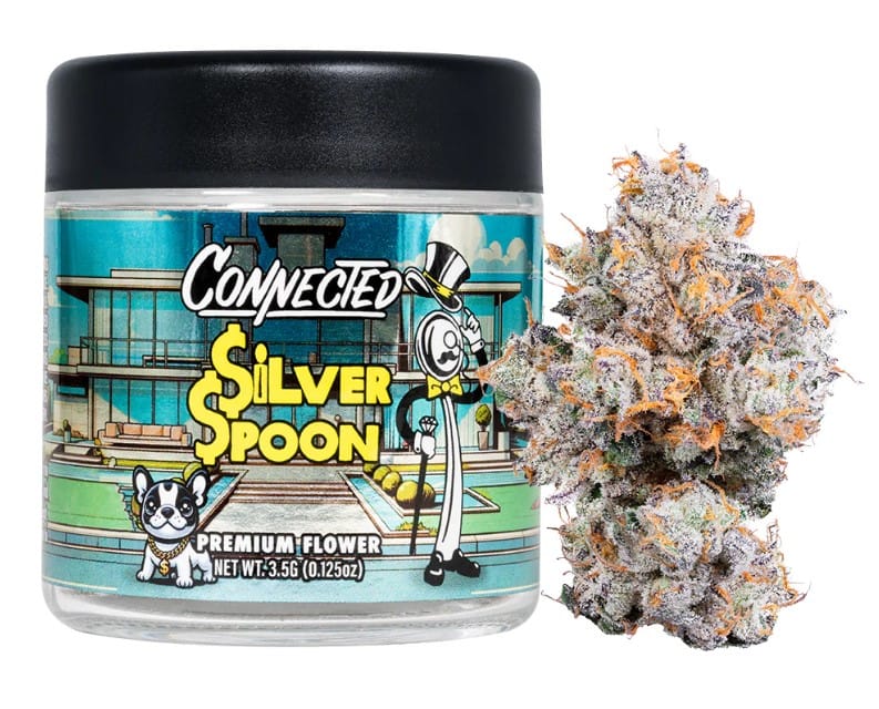 Connected — Silver Spoon