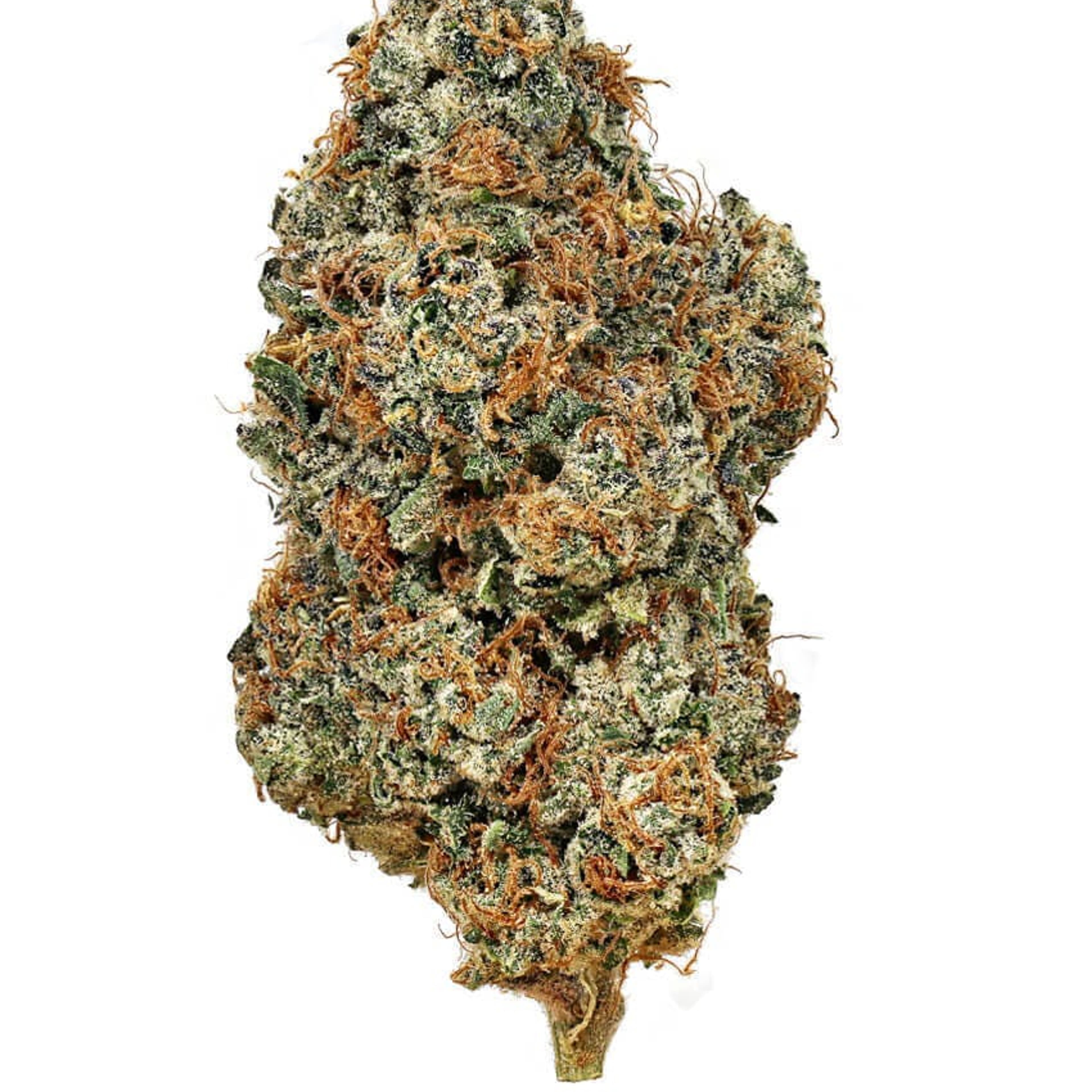 ALPACA CLUB - Chocolate Thai Dye (S) - 14g Indoor - Alpaca Bowl 4 U - 14g Bag - $112 - Flower