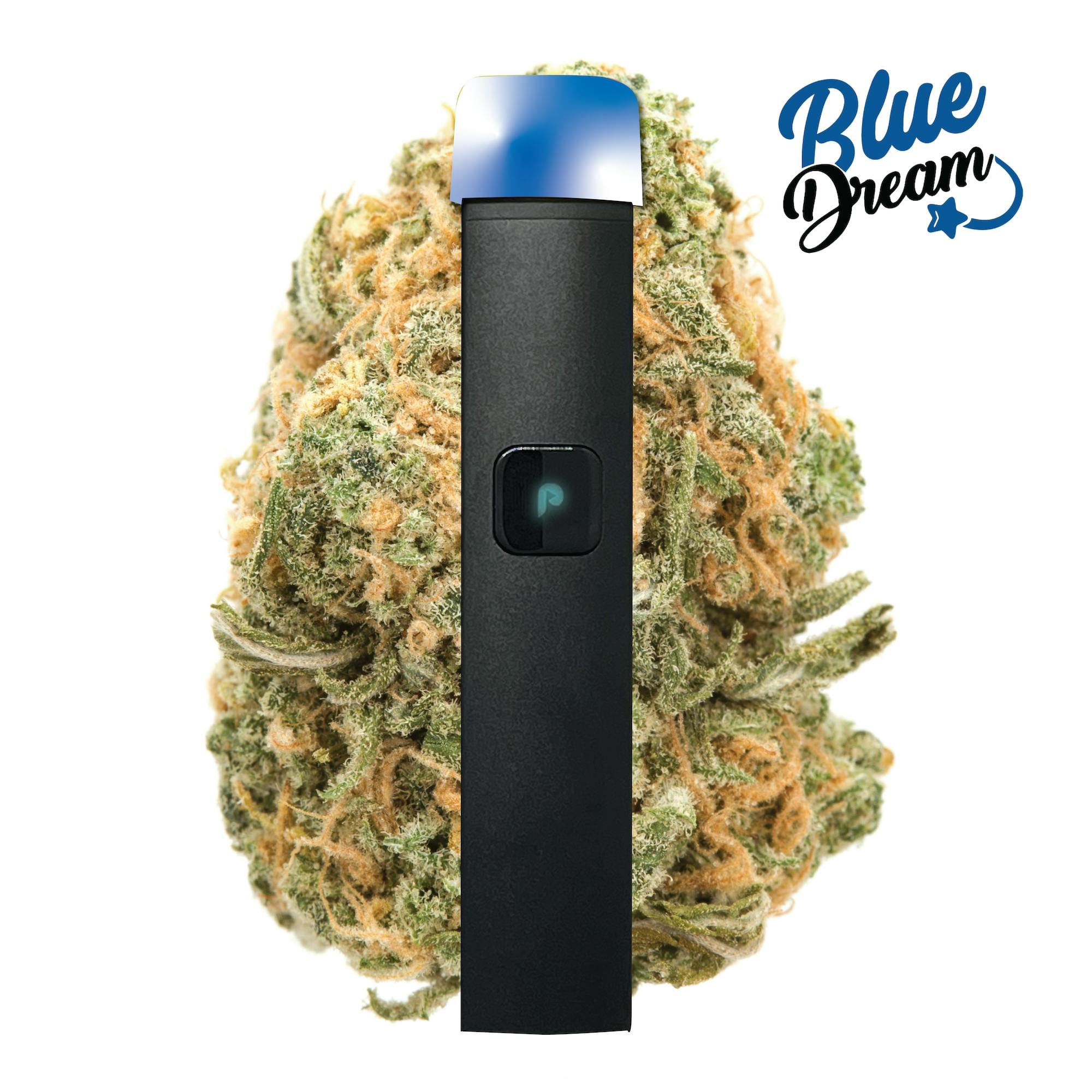 PlugPlay — Blue Dream