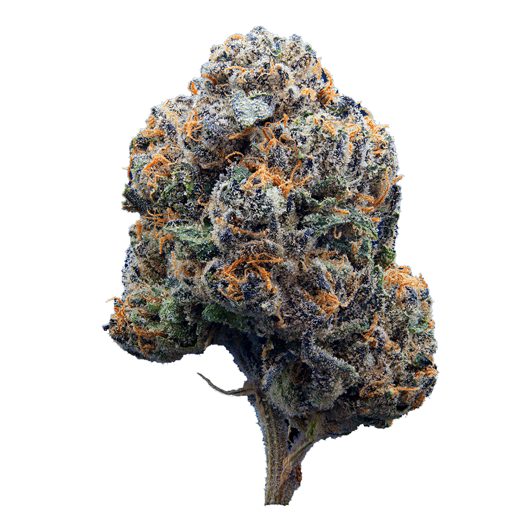 Black Lemon Cherry Gelato 3.5g - XOTX -  - $36.02 - Flowers