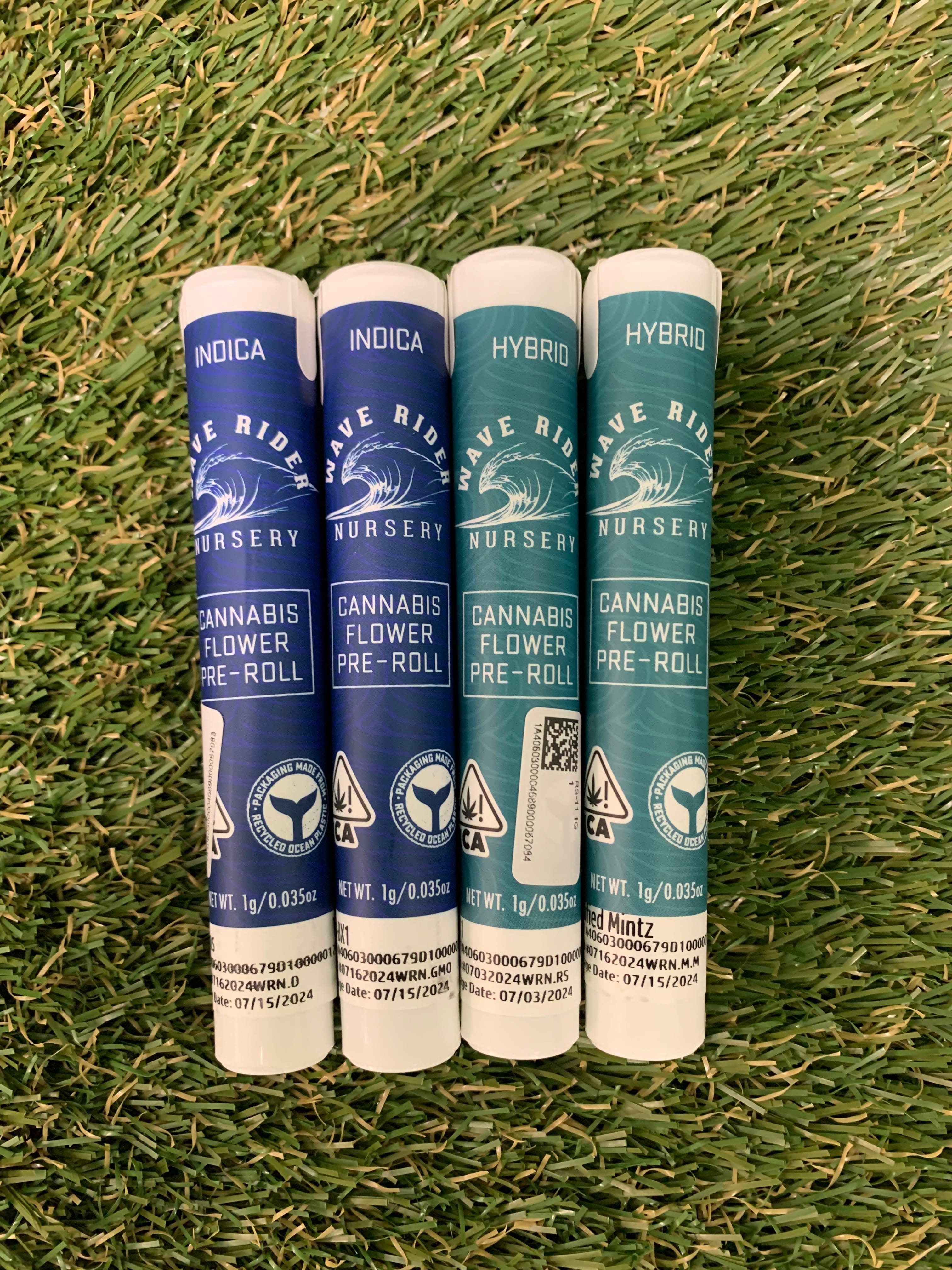 MODIFIED MINTS 1G - WAVE RIDER -  - $2.15 - Pre-Roll Flower