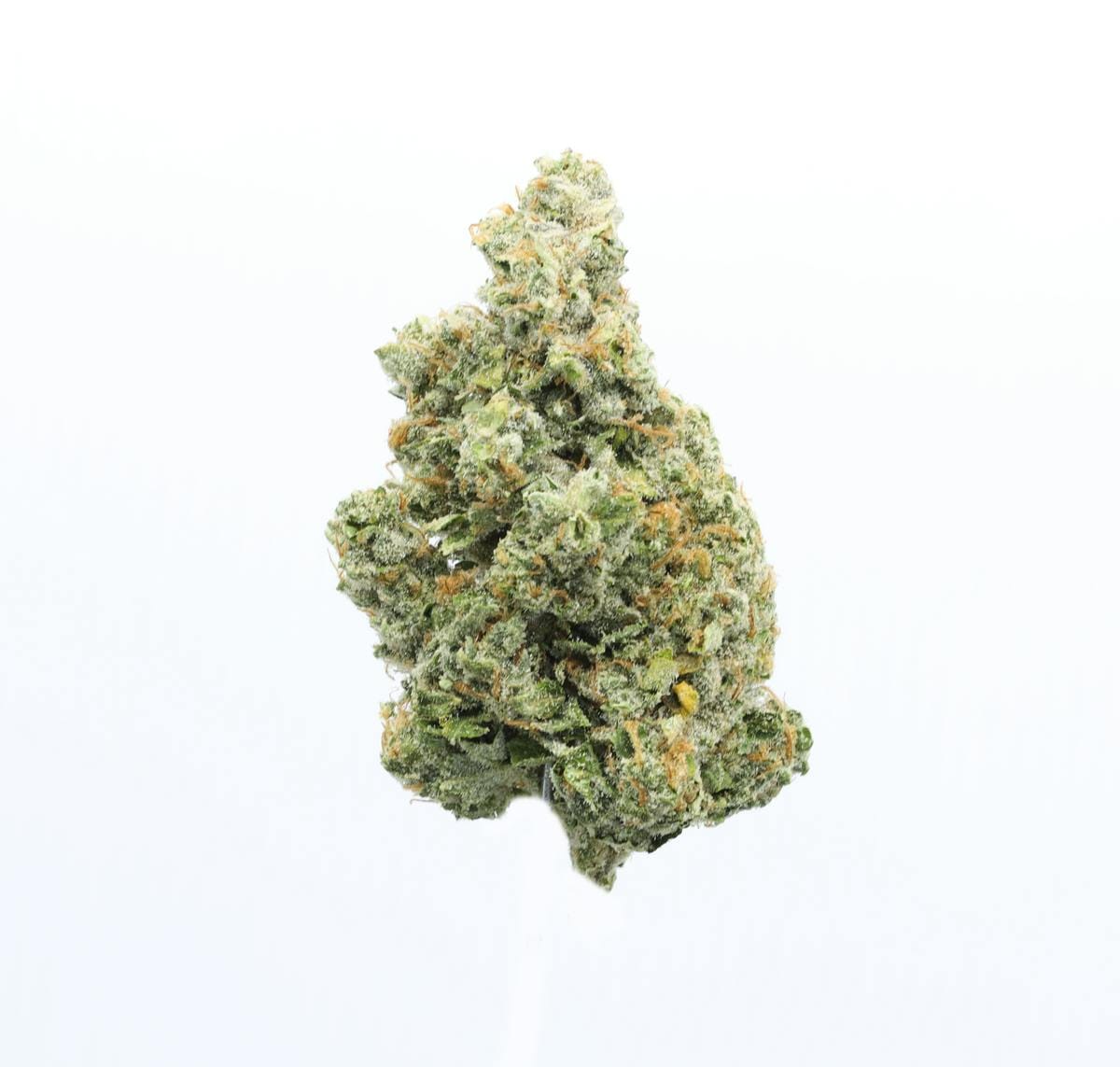 UpNorth: Nyc Diesel