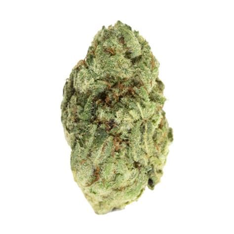 PACIFIC STONE - 805 Glue (H) - 7g - Pacific Stone - Pouch - $41 - Flower