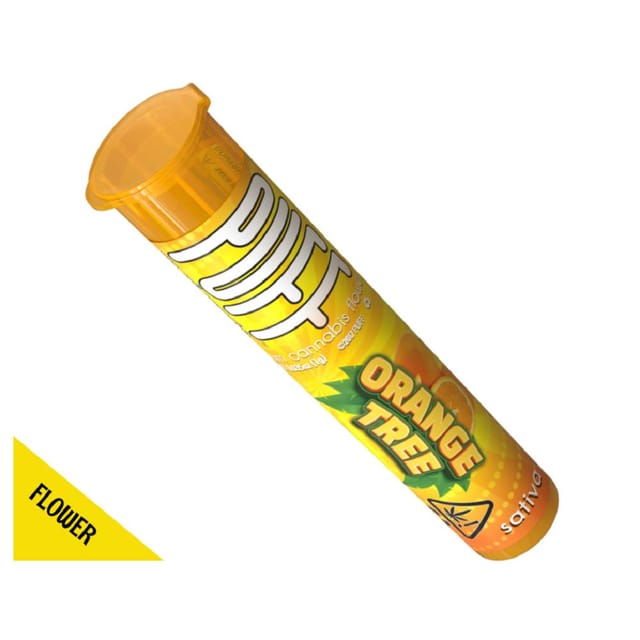PUFF — Orange Tree