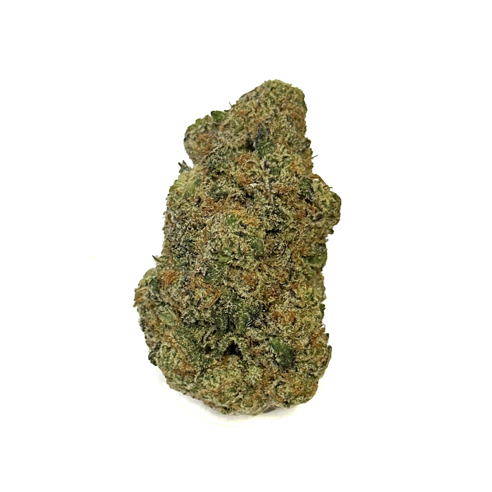 Green Earth Co.: Glitter Bomb