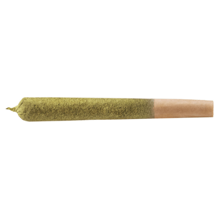 Sluggers Hit — Lemon Cherry Gelato