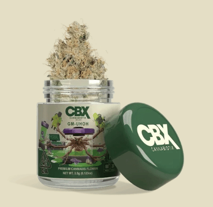 Cannabiotix (CBX): Gm-uhoh