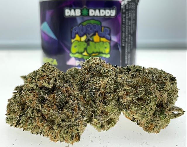 Purple x Cap Junky