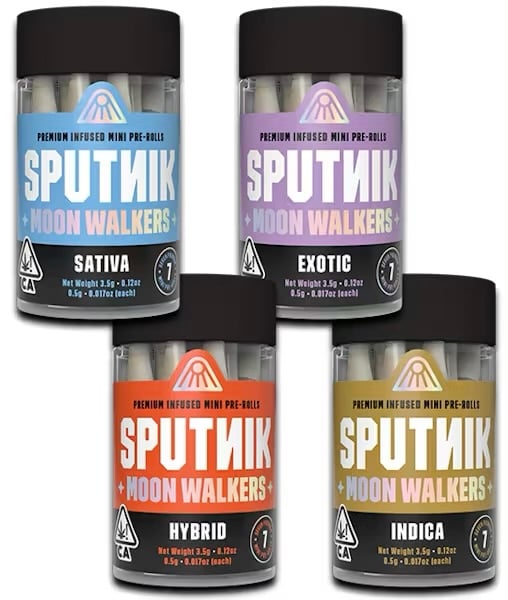 Sputnik: Moon Walkers