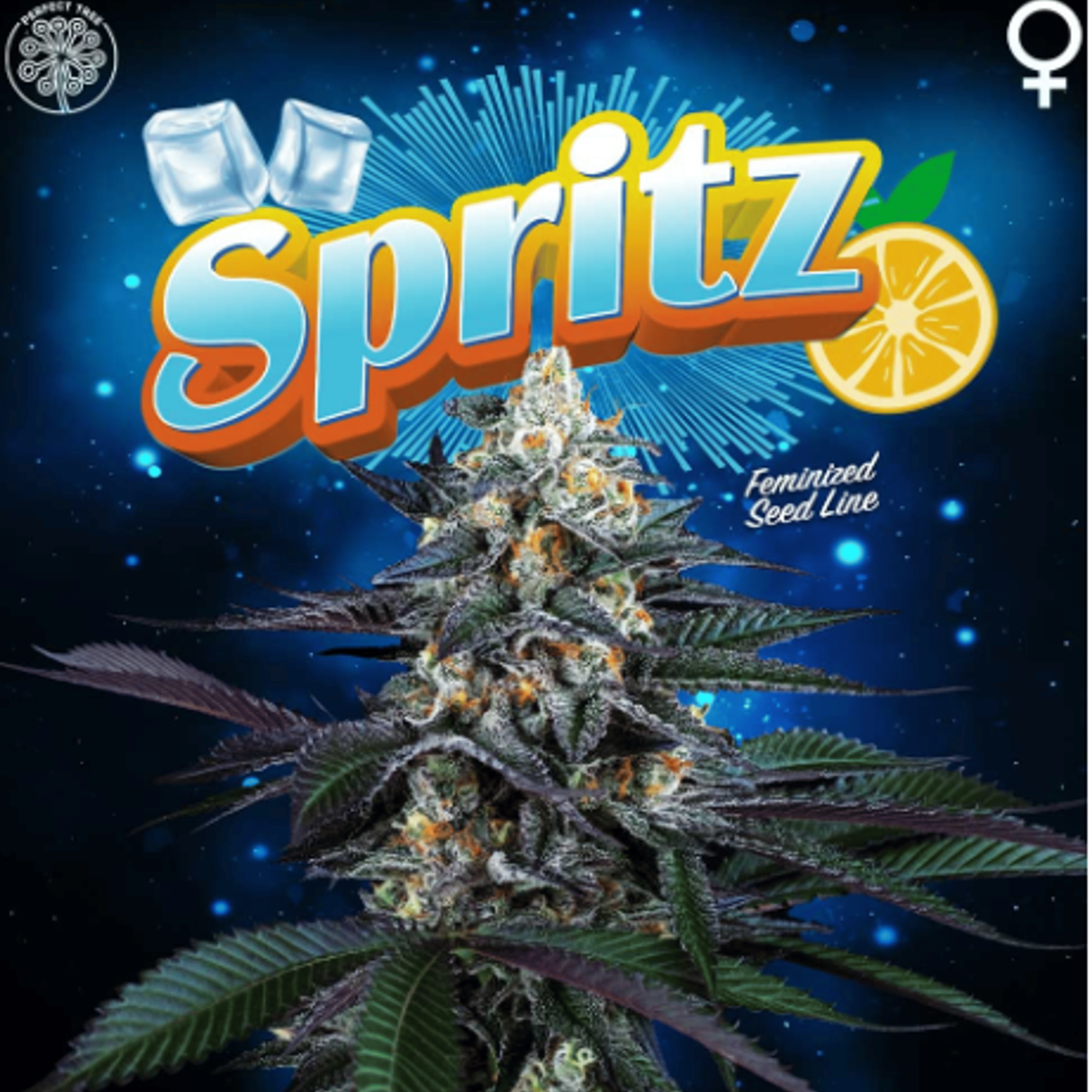 Spritz -Terpene Infused- Eighth 3.5g - Blue Widow - $27 - Pre-Packaged Flowers