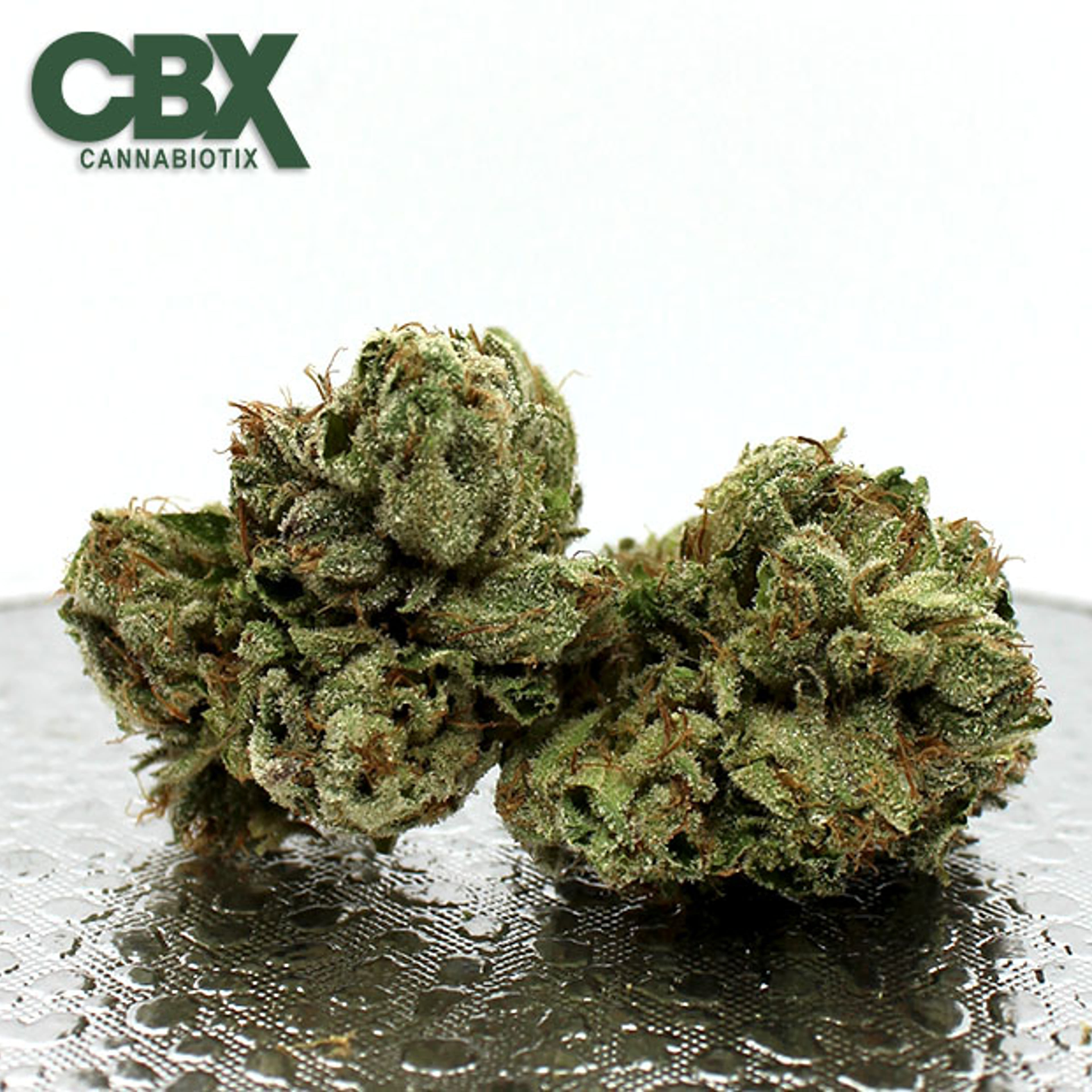 Cannabiotix - Grape Gasby - 3.5g - Cannabiotix - - $49.98 - Indoor Flowers