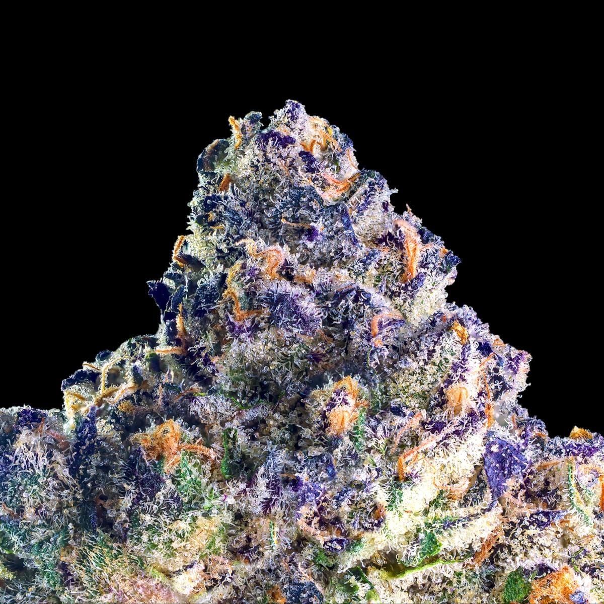 Umami Butter Pre-Roll 5-Pack [2.5g] - Maven Genetics -  - $21.61 - Pre-Rolls