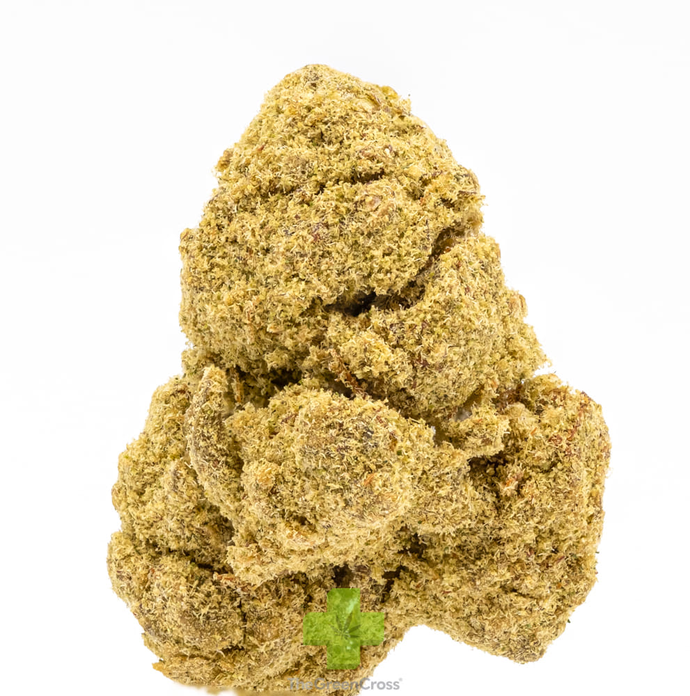 Presidential: Two Gram