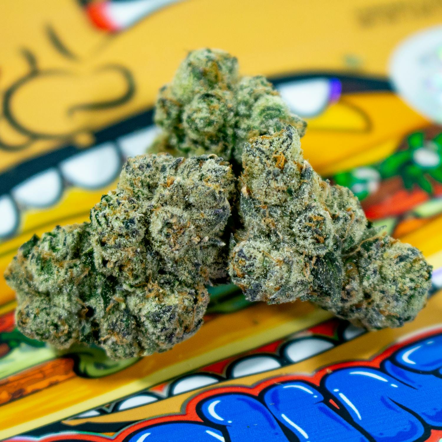 TEDS BUDZ — Torta Pounder - *special Pricing*