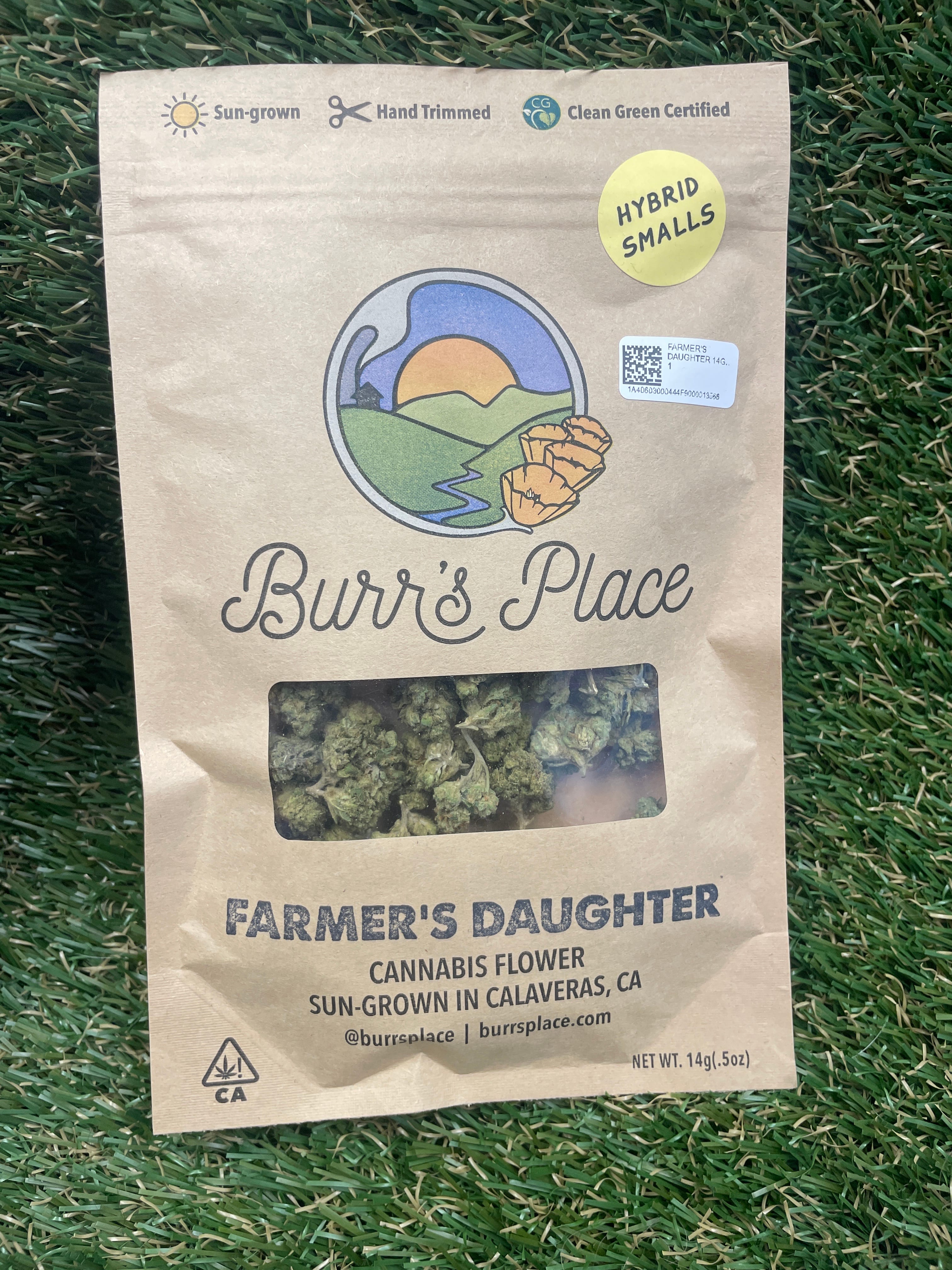FARMER'S DAUGHTER 14G SMALLS - BURR'S PLACE -  - $30.10 - Flower