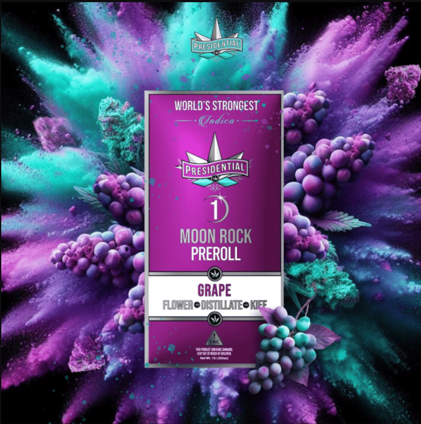 Presidential: Mini Grape Moon Rock