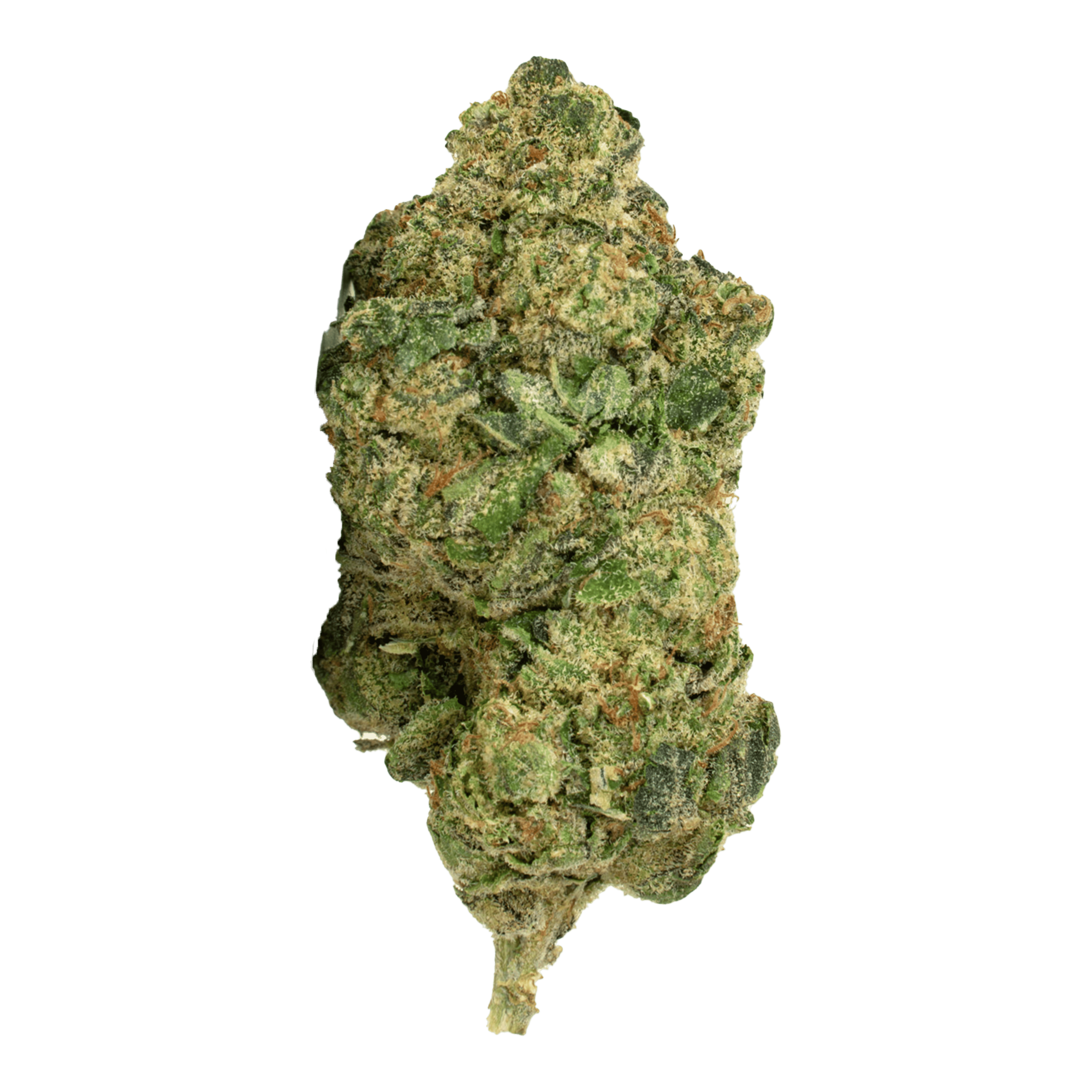 Donny Burger #5 - Jar - Flower - Glass House Farms - Eighth - $29.99 - Flower