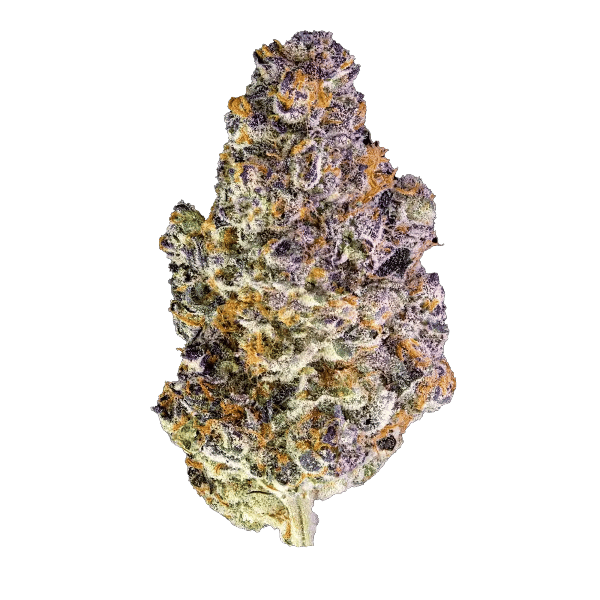 Key Lime Jack - Indoor Flower - Maven Genetics - Eighth - $49.99 - Flower