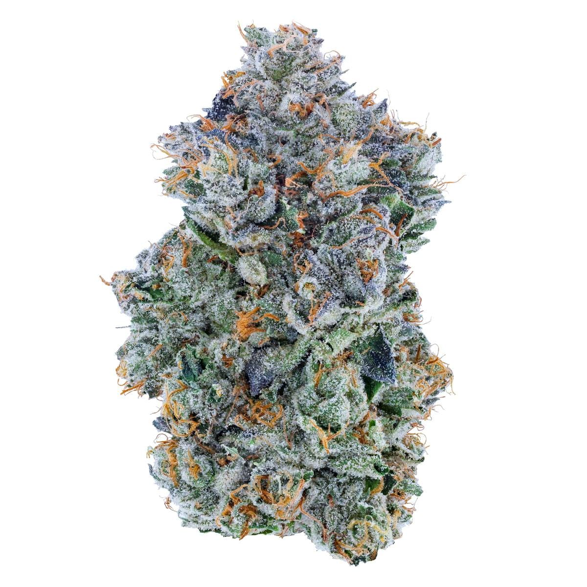 Blue Face 27.10% - 3.5G - Fig Farms - Blue Face (I) - $47 - Flower