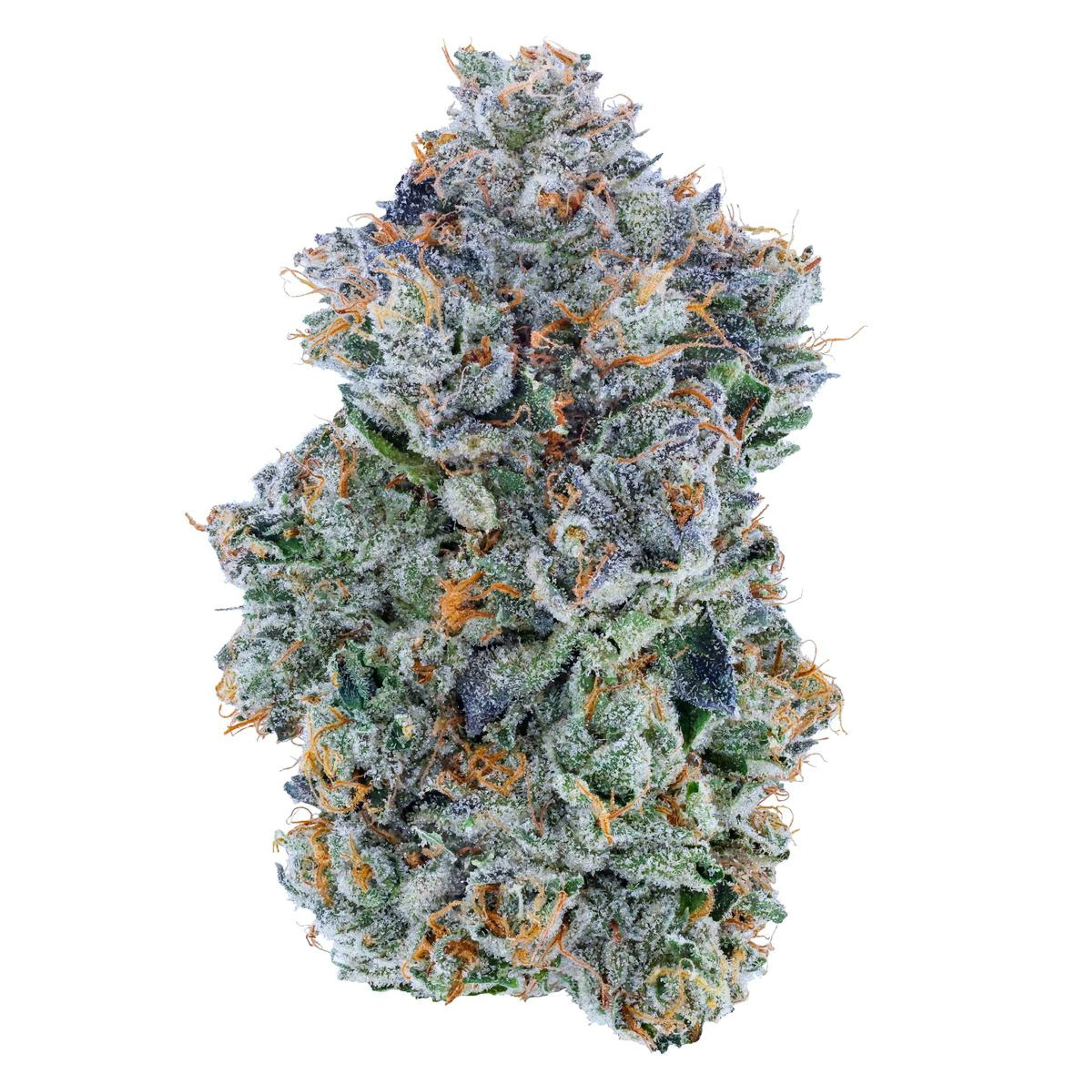 Blue Face 27.10% - 3.5G - Fig Farms - Blue Face (I) - $47 - Flower