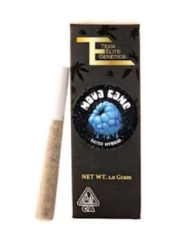 Team Elite Genetics: Nova Cane
