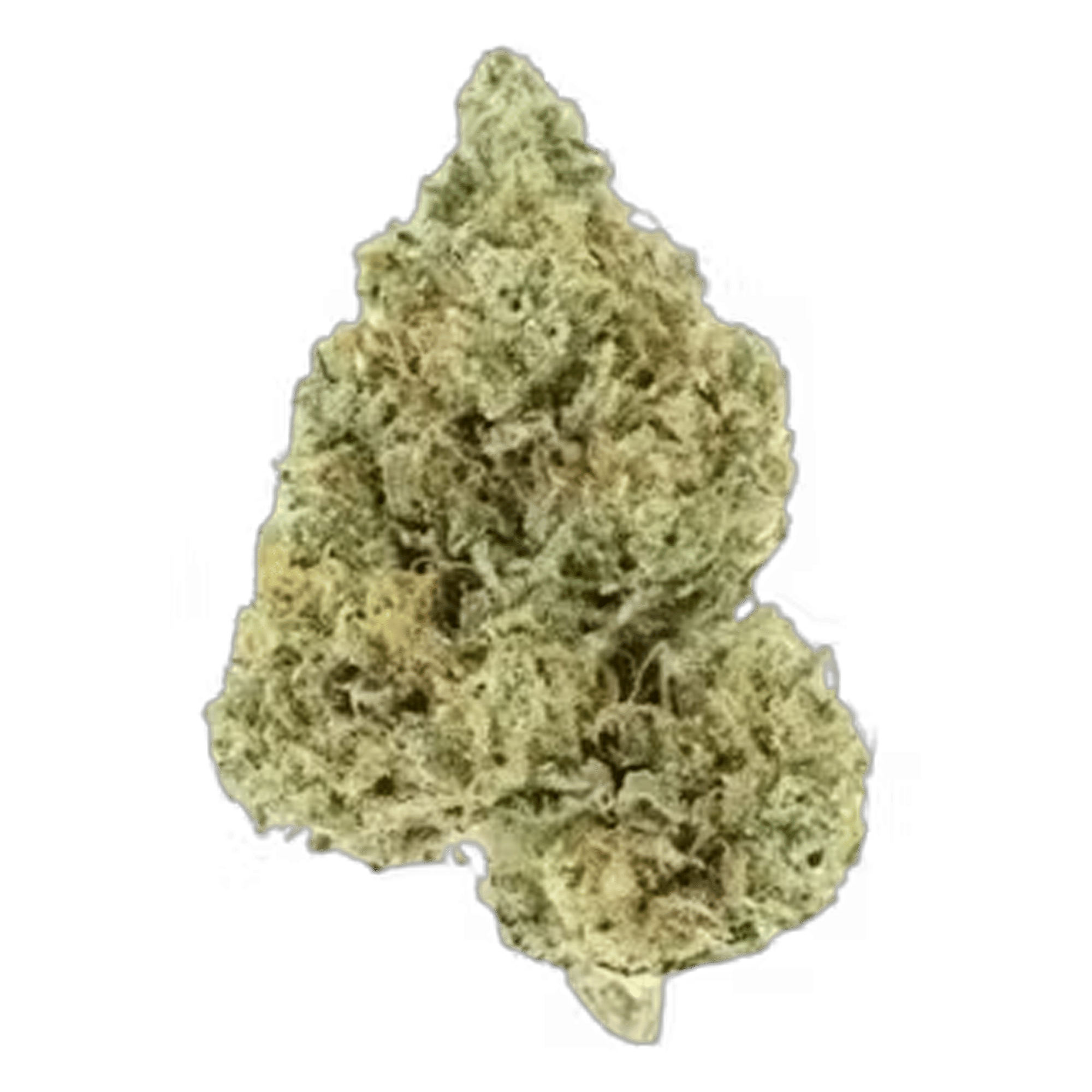 Lamb's Bread - Jar - Indoor Flower - UpNorth - Eighth - $49.99 - Flower