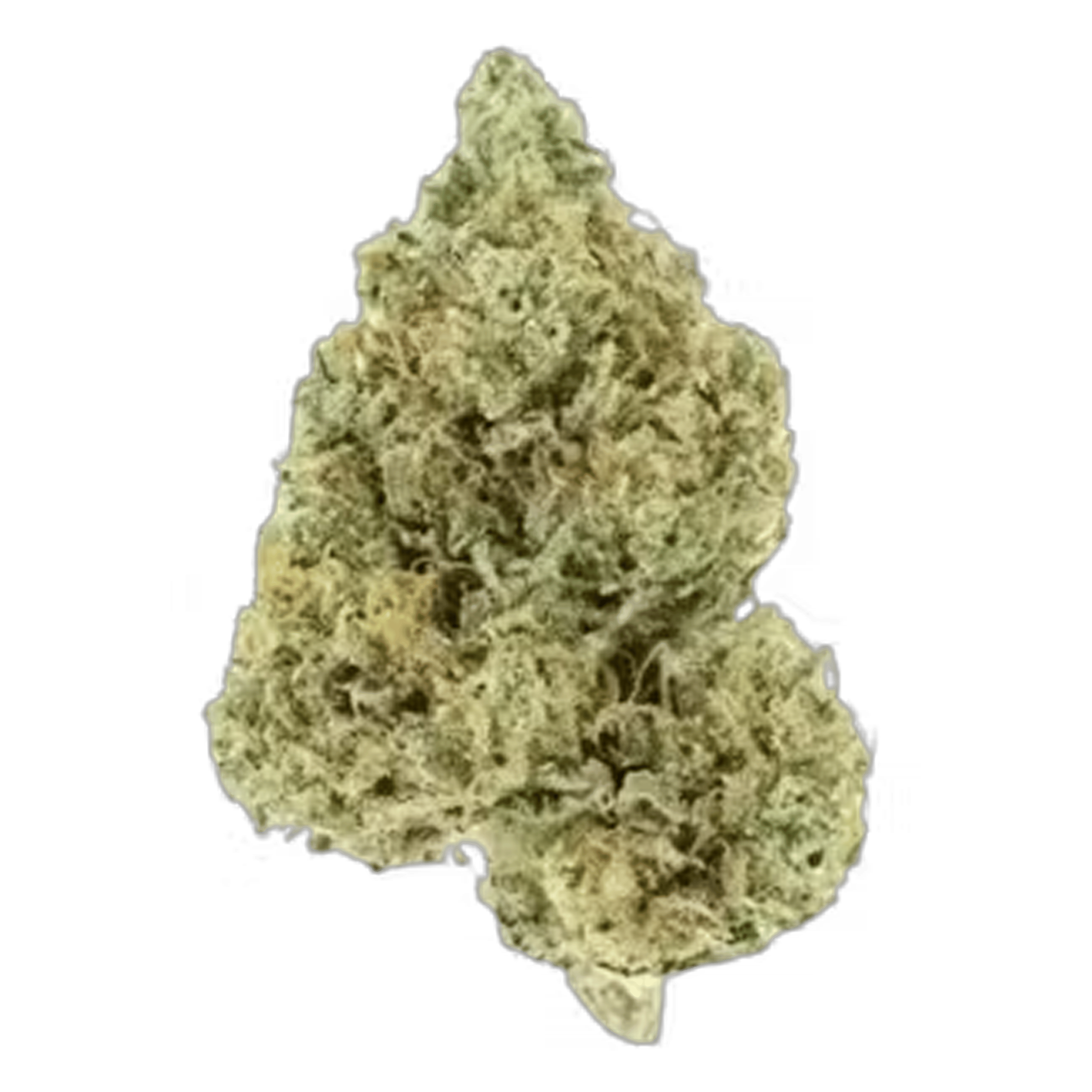 Lamb's Bread - Jar - Indoor Flower - UpNorth - Eighth - $49.99 - Flower