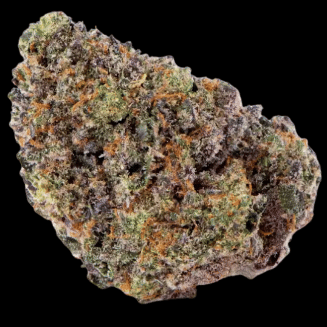 Pure Beauty — Terry T X Gelato 33