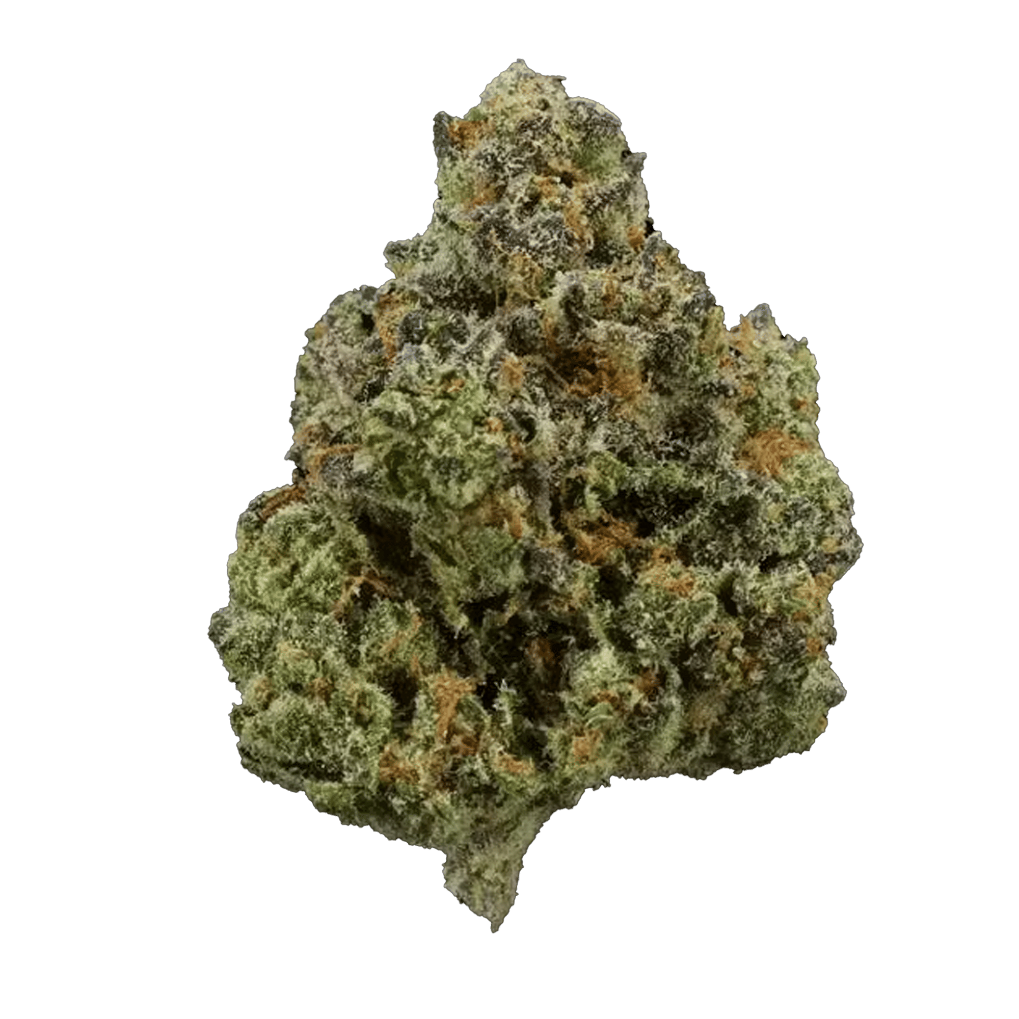 Florida Oranges - Jar - Indoor Flower - UpNorth - Eighth - $49.99 - Flower