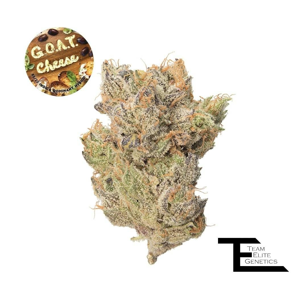 Team Elite Genetics: G.o.a.t Cheese Jar