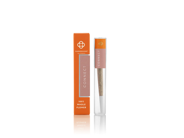 Connect | 1g Preroll