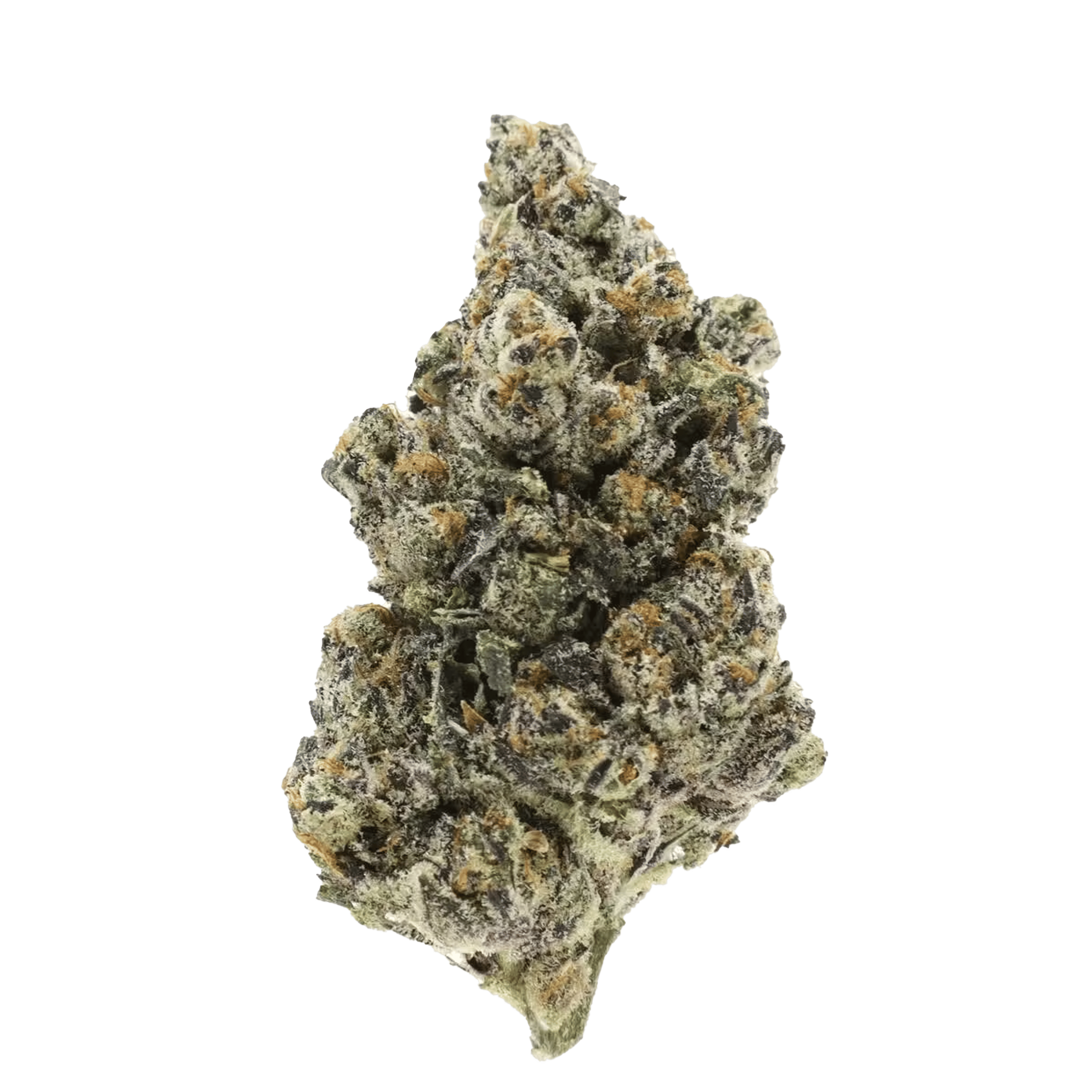 Peach Z - Jar - Indoor Flower - UpNorth - Eighth - $49.99 - Flower
