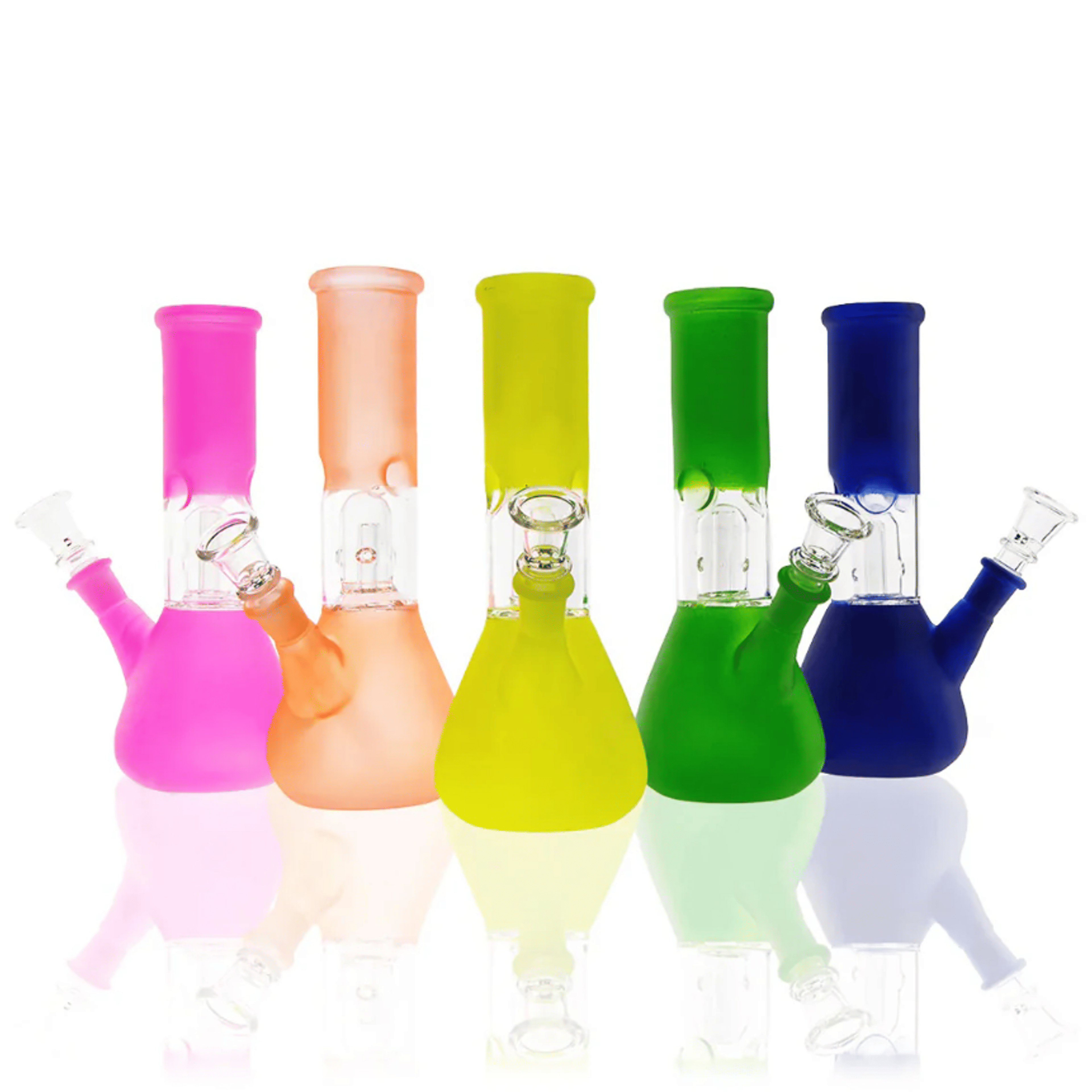 Dome Percolator Beaker Water Pipe 8" - 14mm - Assorted Colors - Biohazard - - $20 - Paraphernalia