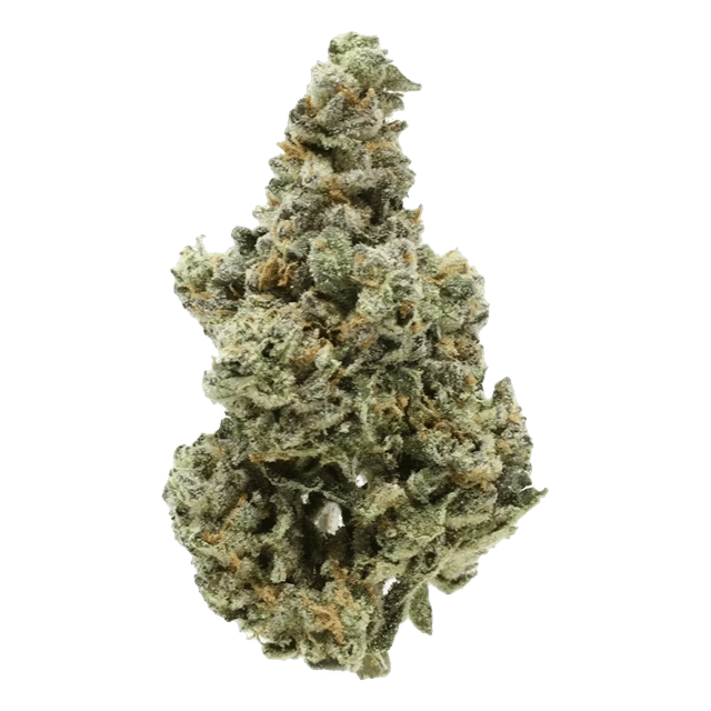 Pineapple Express - Jar - Indoor Flower