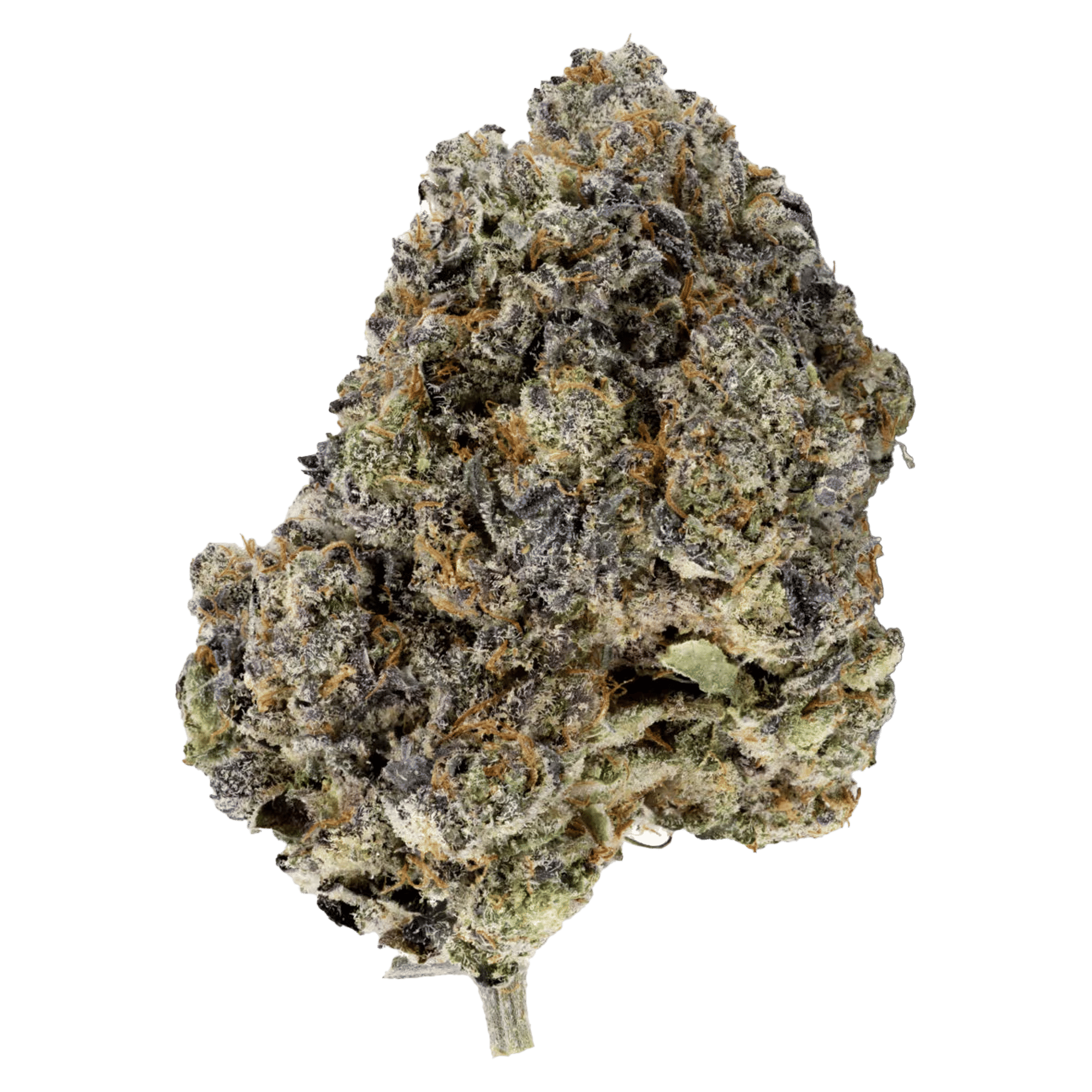 Grape Soda - Jar - Indoor Flower - UpNorth - Eighth - $42.49 - 4mo+ Flower (Date in Description)