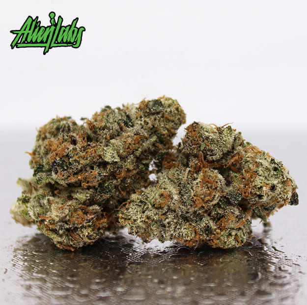 Alien Labs - Biskante - 3.5g - Alien Labs -  - $49.99 - Indoor Flowers