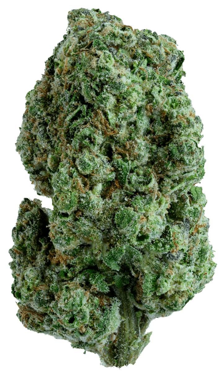 Lemon Cherry Sherbet 36% - 7G Smalls - Gold Standard - Lemon Cherry Sherbet (I) - $32 - Flower