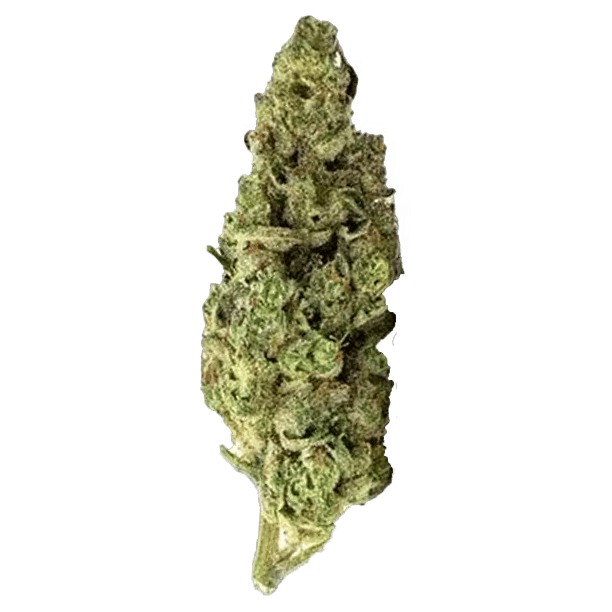 Garlic Starship - Jar - Flower - Glass House Farms - Eighth - $29.99 - Flower