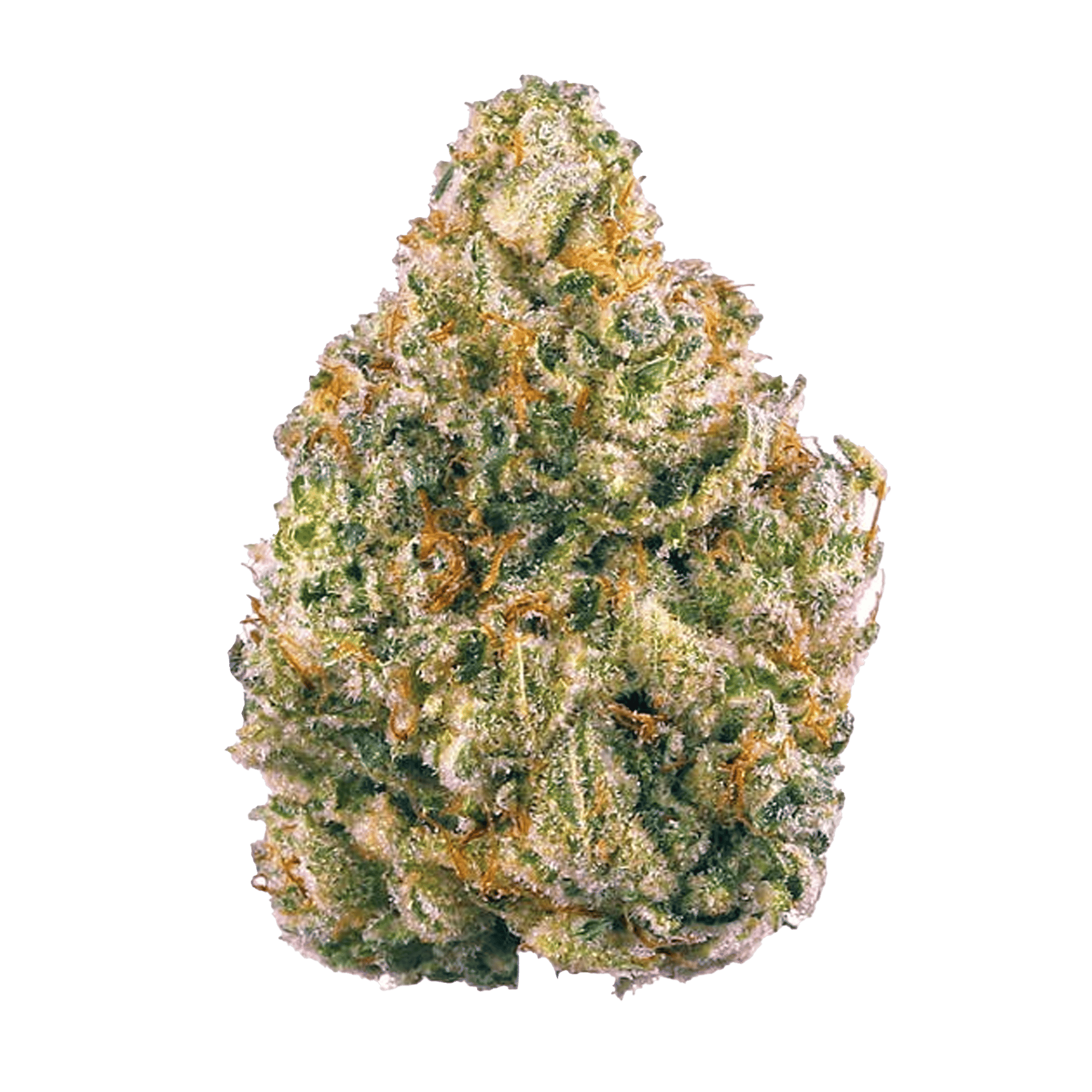 NF1 - Jar - Indoor Flower - UpNorth - Eighth - $49.99 - Flower