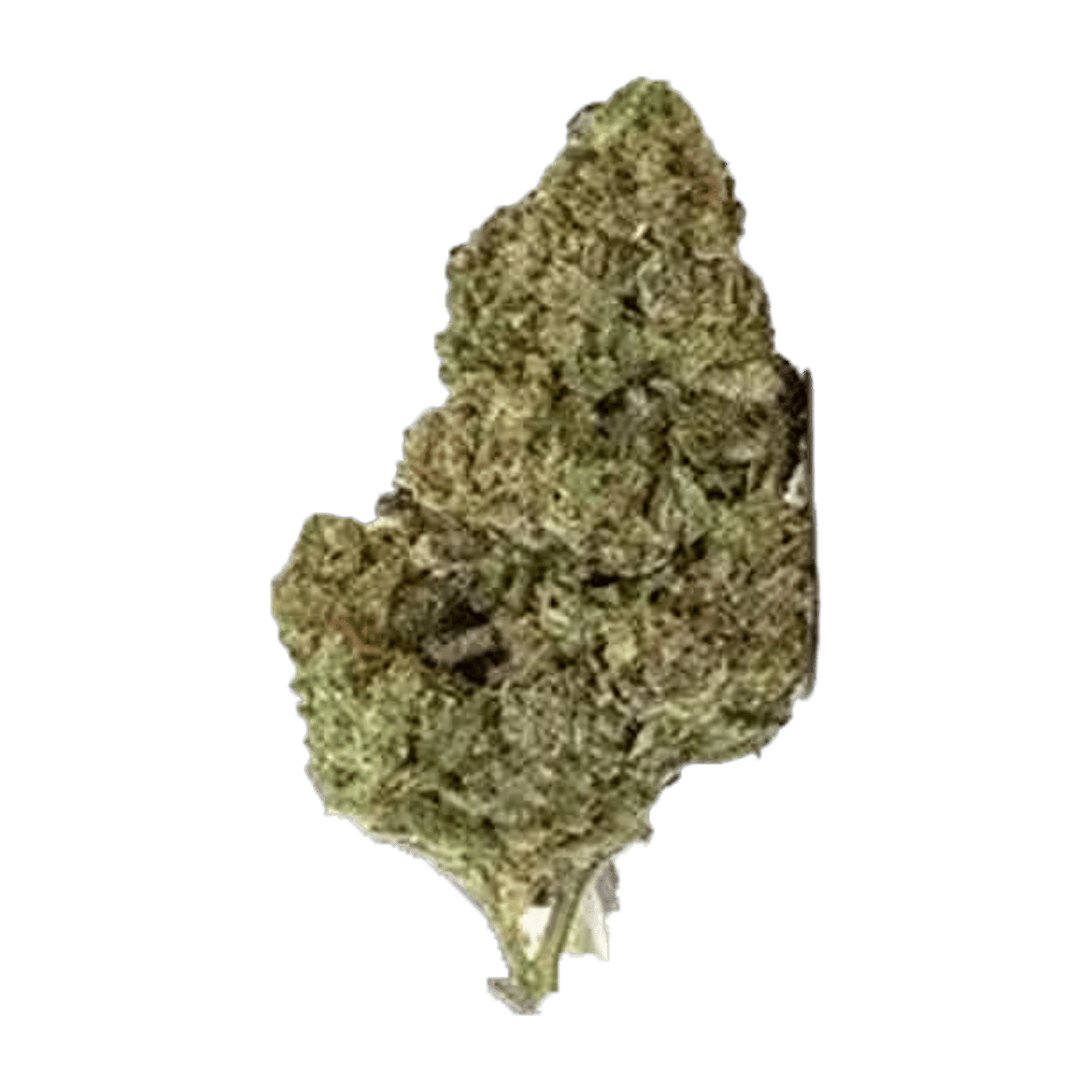 Lilac Diesel - Jar - Flower - Glass House Farms - Eighth - $19.99 - Flower